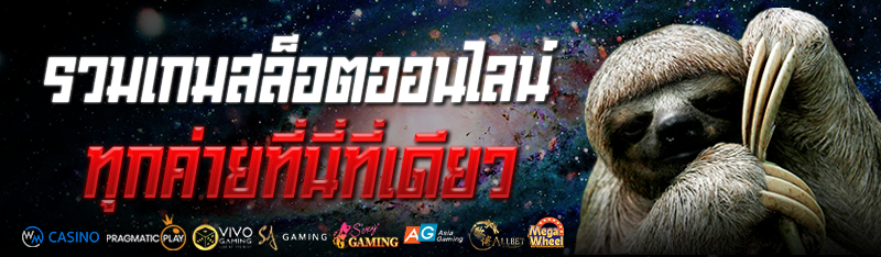 รวมเกมสล็อตออนไลน์ทุกค่ายที่นี่ที่เดียว