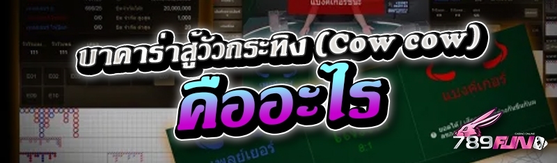 บาคาร่าสู้วัวกระทิง (Cow cow) 