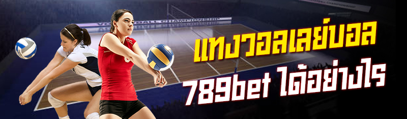 แทงวอลเลย์บอล789bet ได้อย่างไร